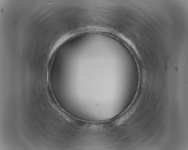 X0000080721365200701051024