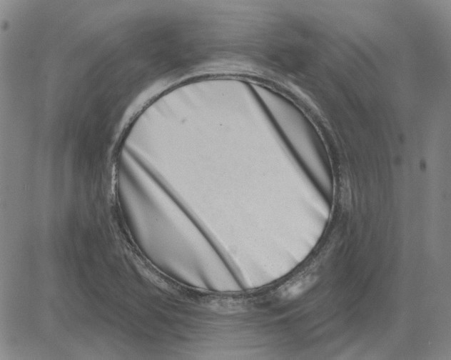 X0000080721366200701051024