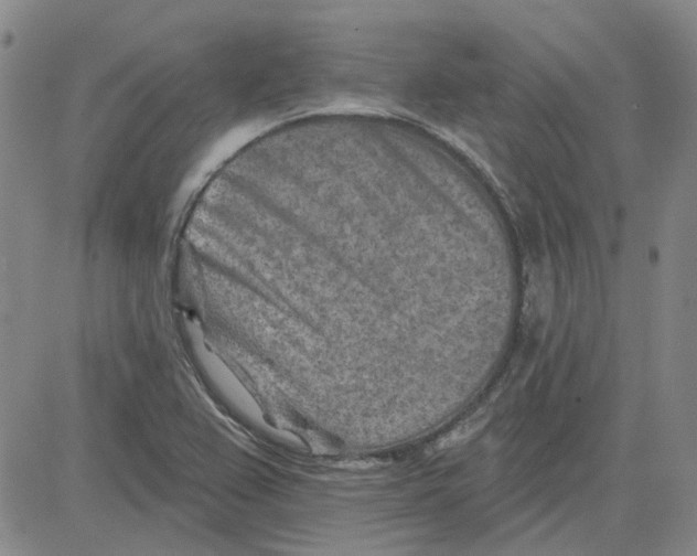 X0000080721367200701051024