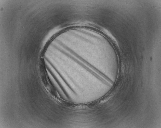 X0000080721368200701051024