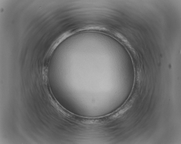 X0000080721369200701051024