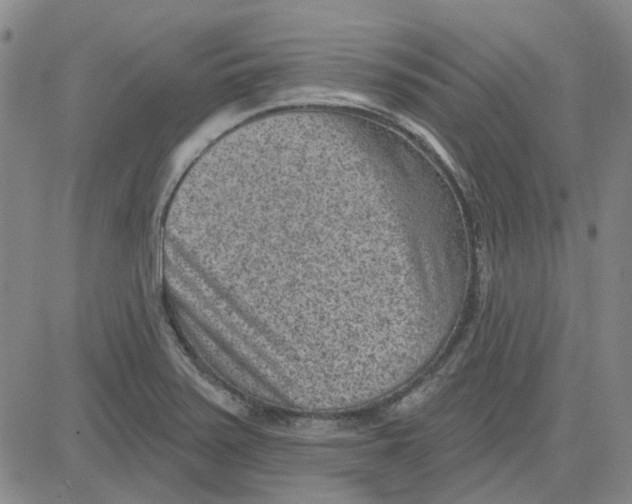 X0000080721371200701051023