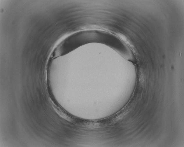 X0000080721372200701051023