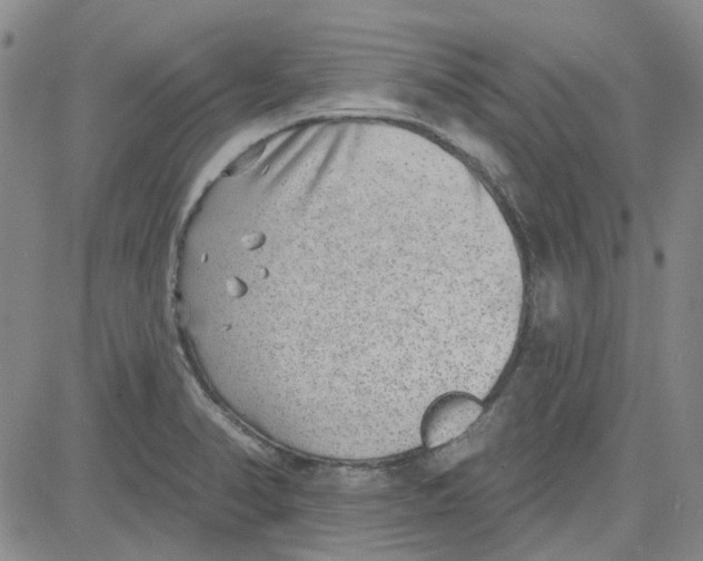 X0000080721374200701051023