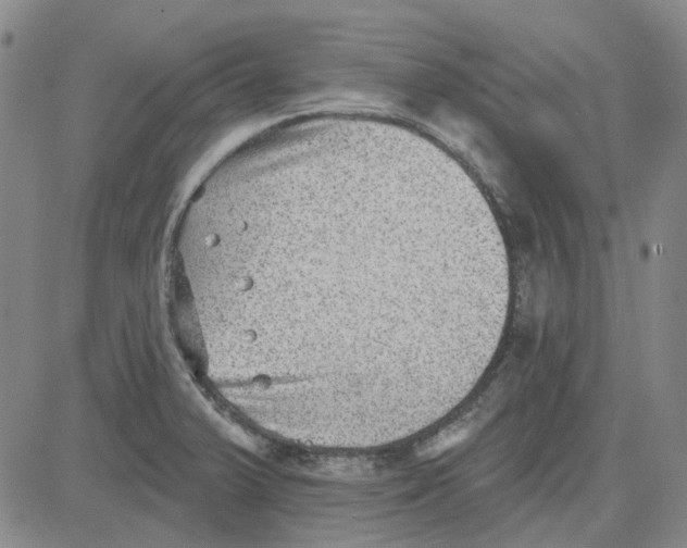 X0000080721375200701051023