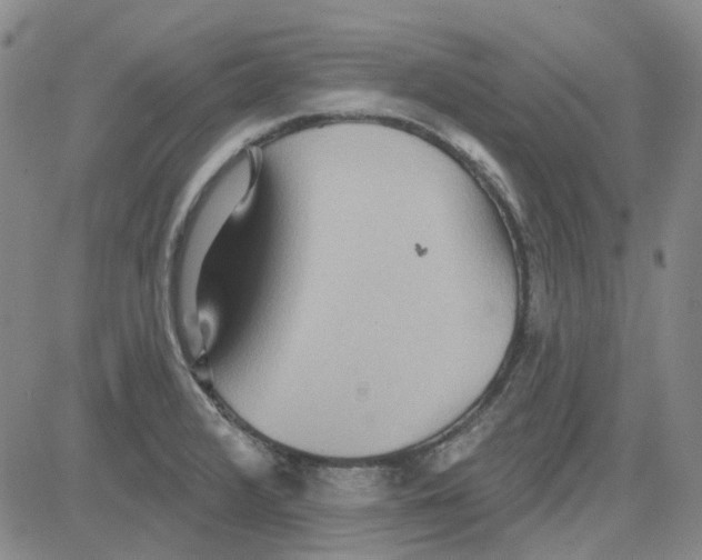 X0000080721376200701051023