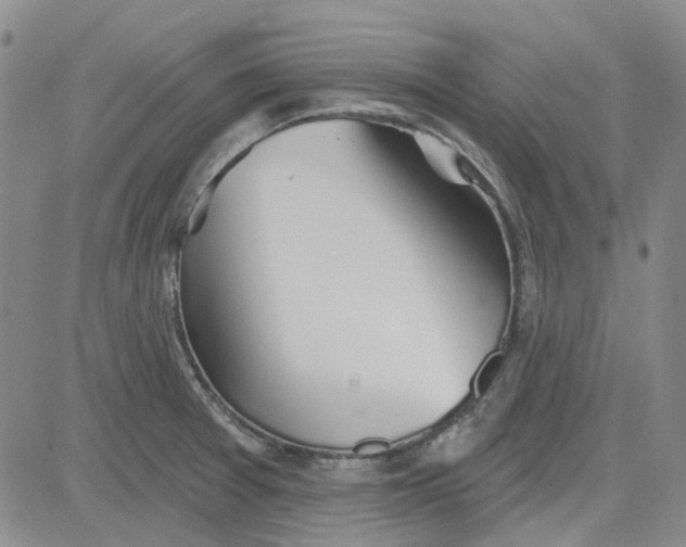 X0000080721377200701051023