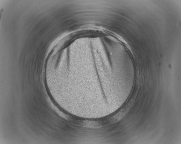 X0000080721379200701051023