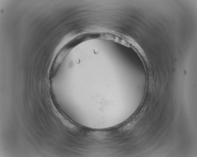 X0000080721380200701051023