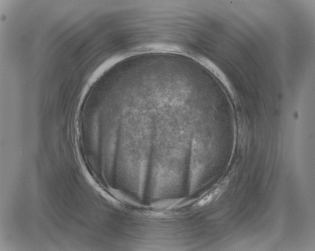 X0000080721381200701051023