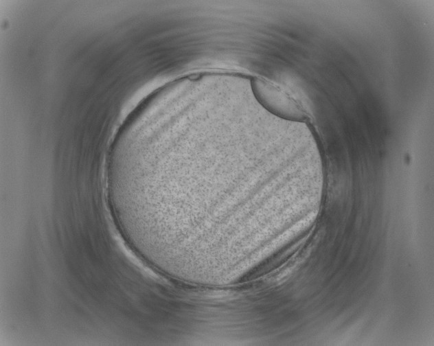 X0000080721382200701051023