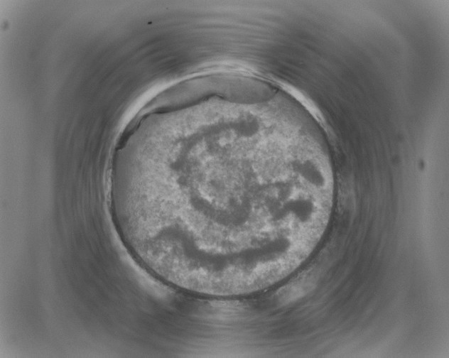 X0000080721383200701051023