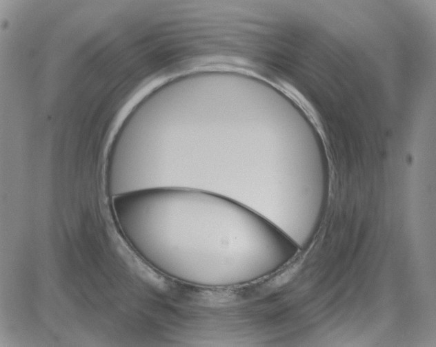 X0000080721384200701051023