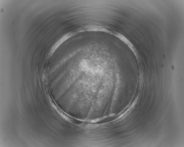 X0000080721385200701051023