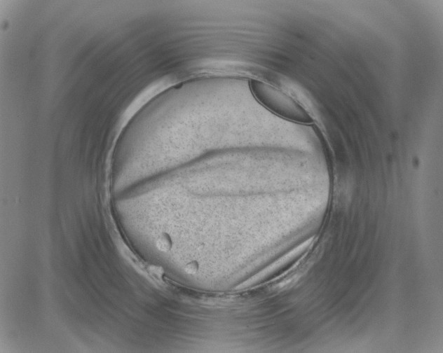 X0000080721386200701051023