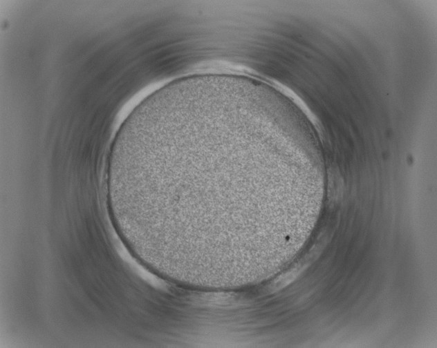 X0000080721387200701051023