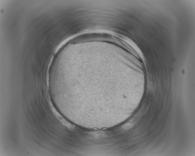 X0000080721388200701051023