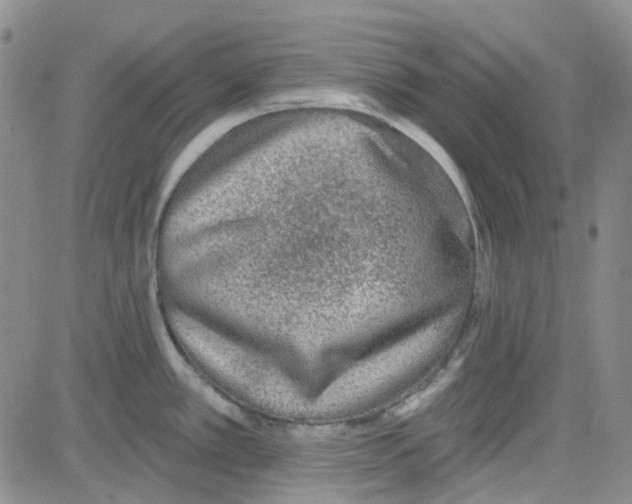 X0000080721389200701051023