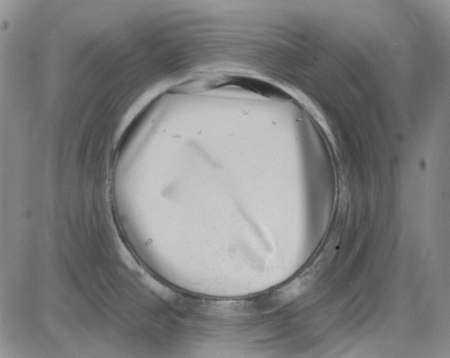 X0000080721390200701051023