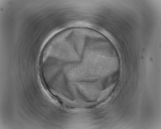 X0000080721392200701051023