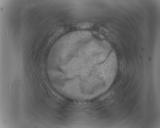 X0000080721393200701051022