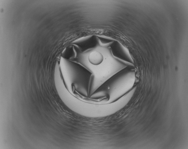 X0000080721394200701051022