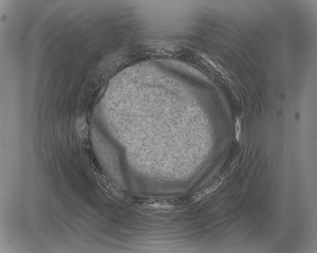 X0000080721395200701051022