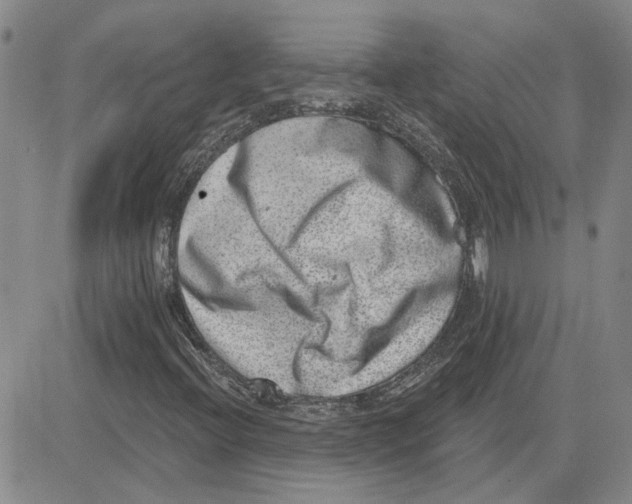 X0000080721396200701051022