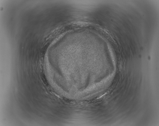 X0000080721397200701051022