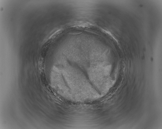 X0000080721399200701051022