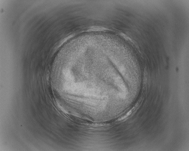 X0000080721401200701051023