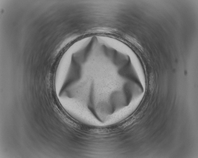 X0000080721404200701051023