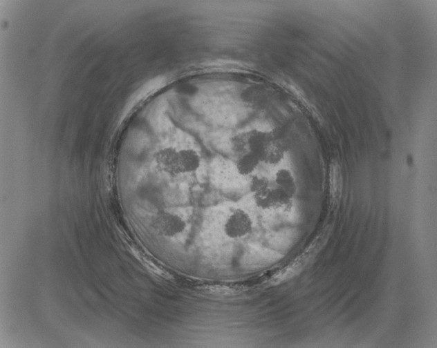 X0000080721405200701051023