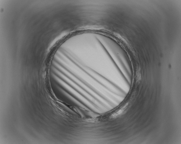 X0000080721406200701051023