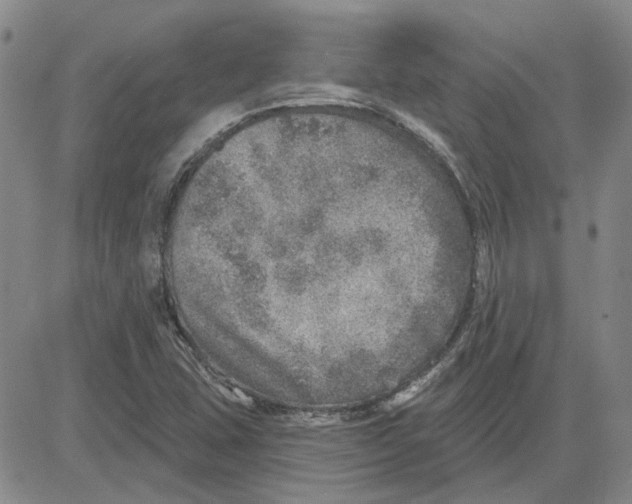 X0000080721407200701051023