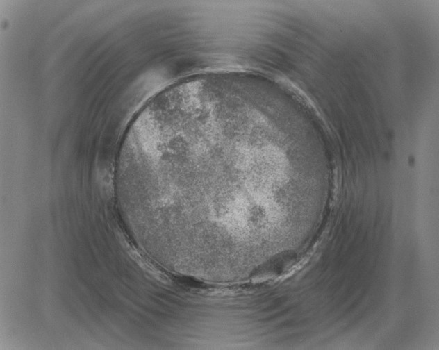 X0000080721409200701051023