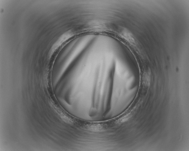 X0000080721410200701051023