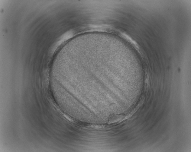 X0000080721411200701051023