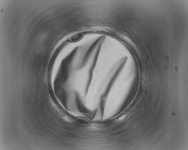 X0000080721412200701051023