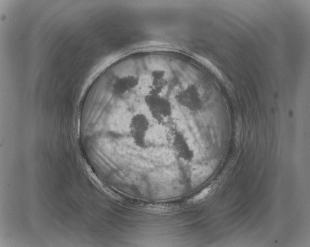 X0000080721413200701051023