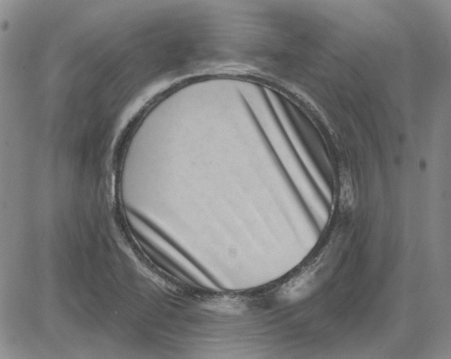 X0000080721414200701051023