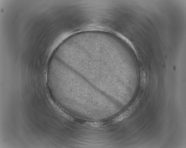 X0000080721415200701051023