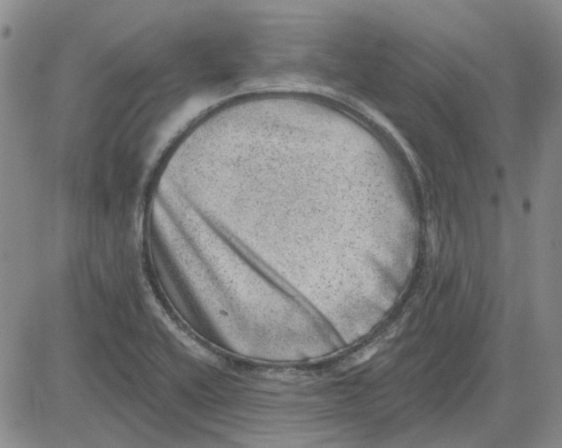 X0000080721416200701051023