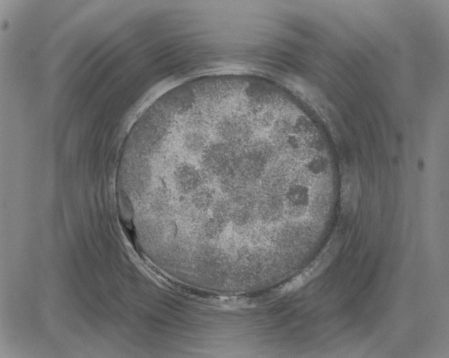 X0000080721417200701051023