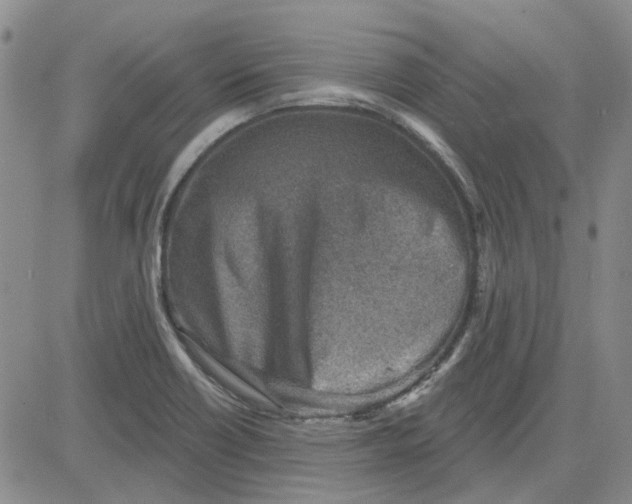 X0000080721418200701051023