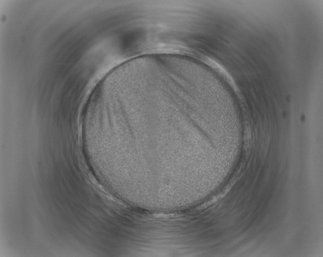 X0000080721419200701051023