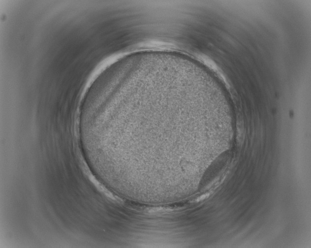 X0000080721421200701051023