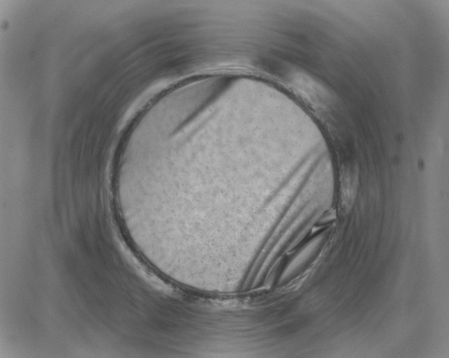 X0000080721422200701051023