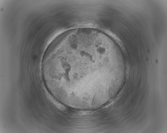 X0000080721423200701051023