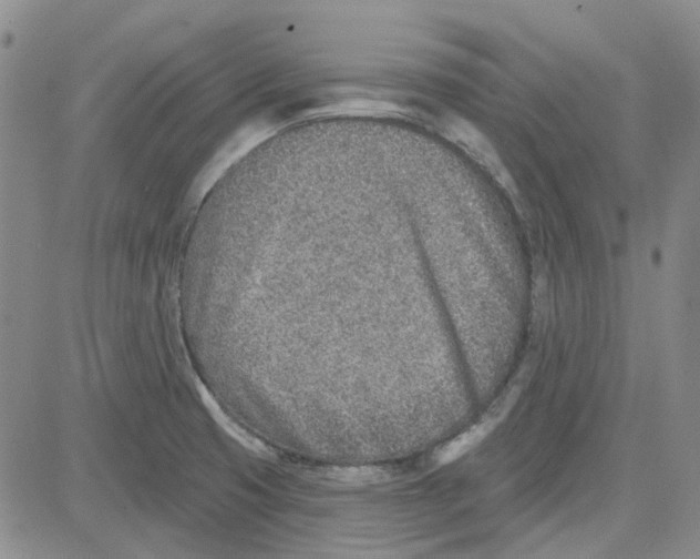 X0000080721425200701051023